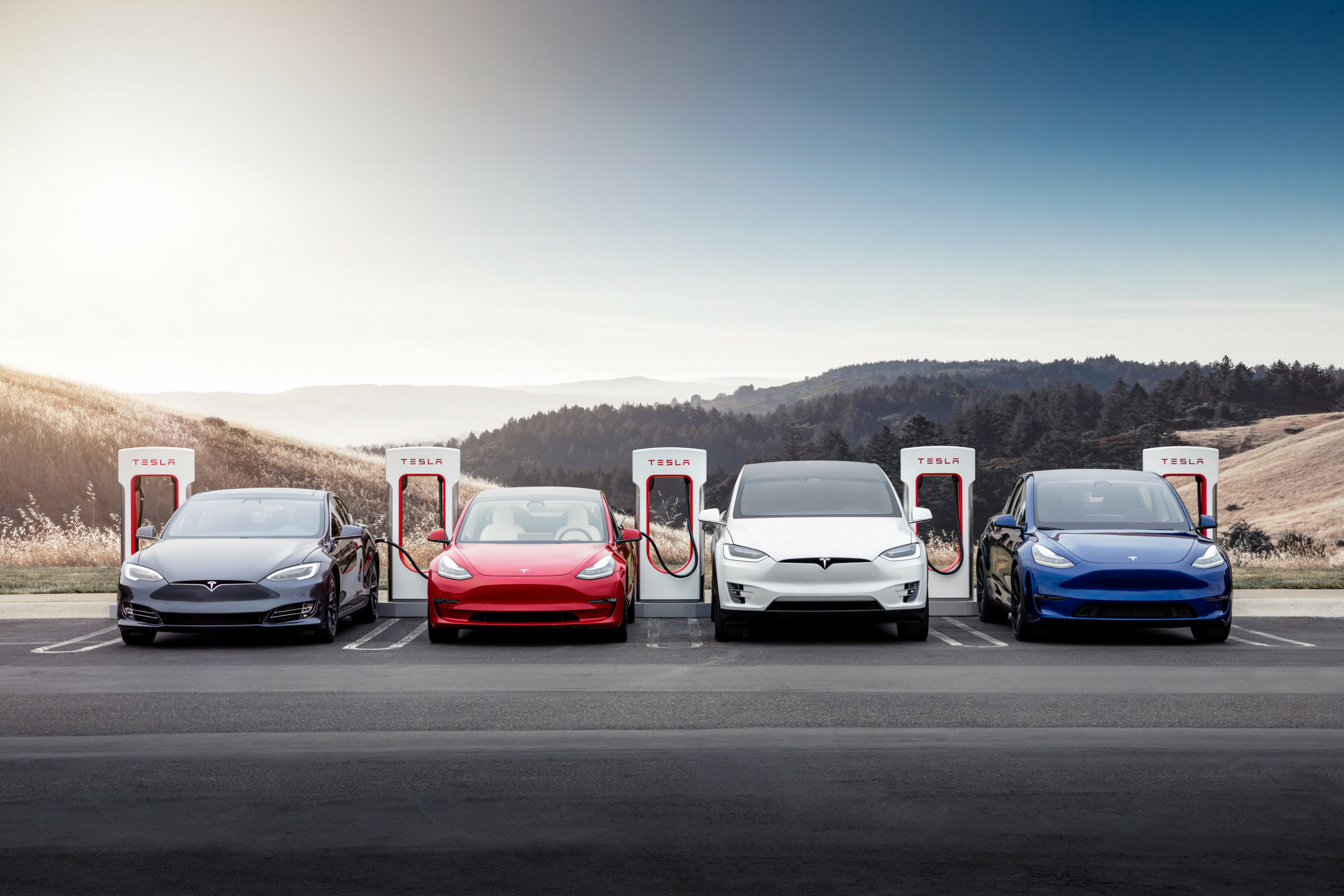 Say hello to Tesla's quirky electric car lineup.