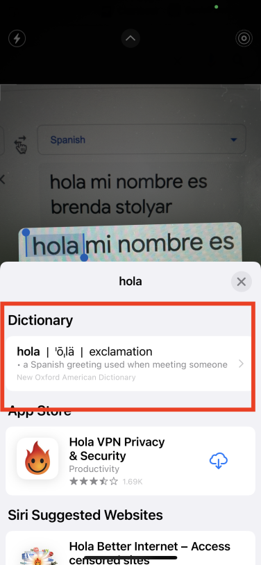 Tap "Look Up" to translate it.