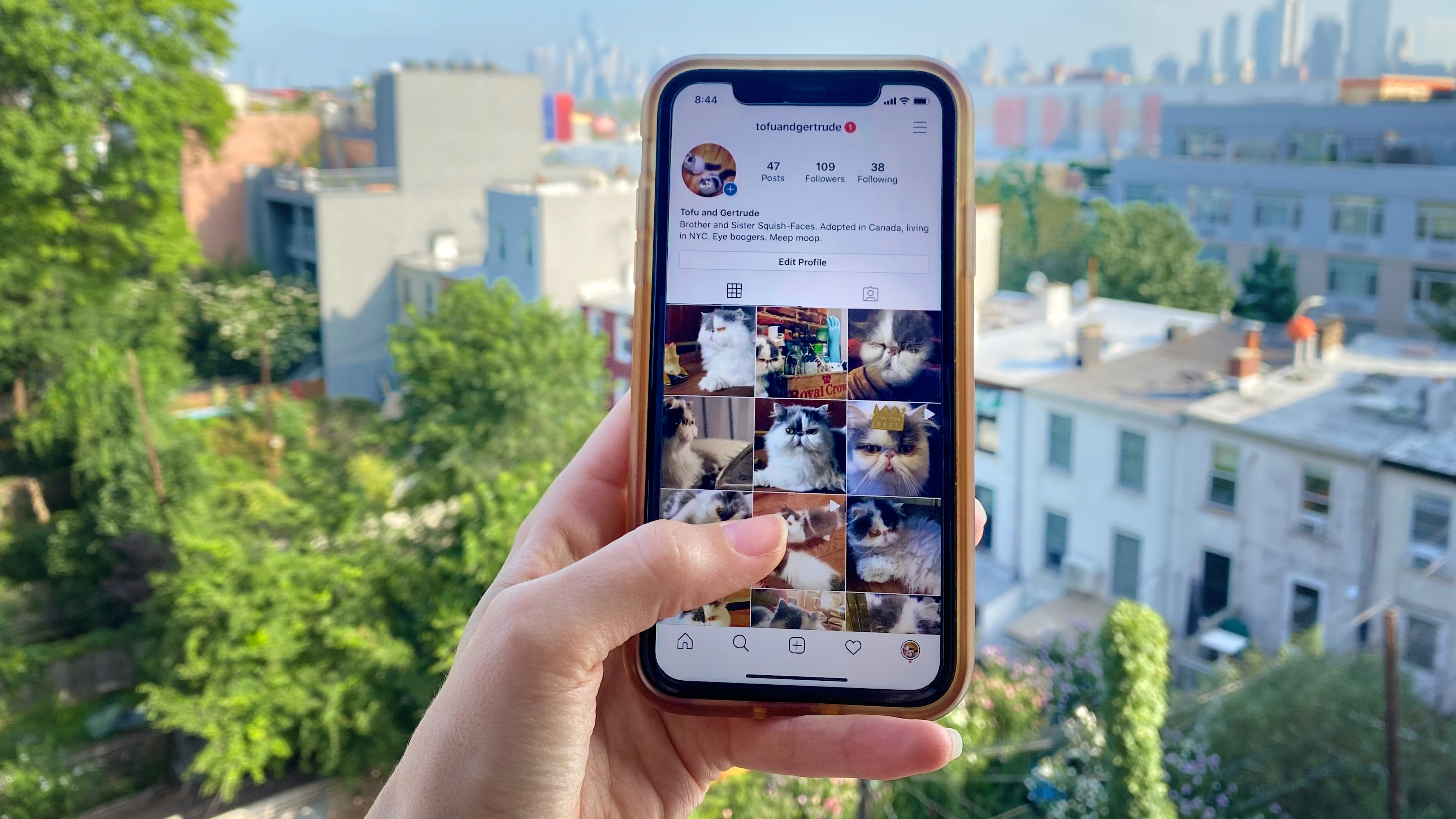 Yes, you can download Instagram photos without taking a screenshot