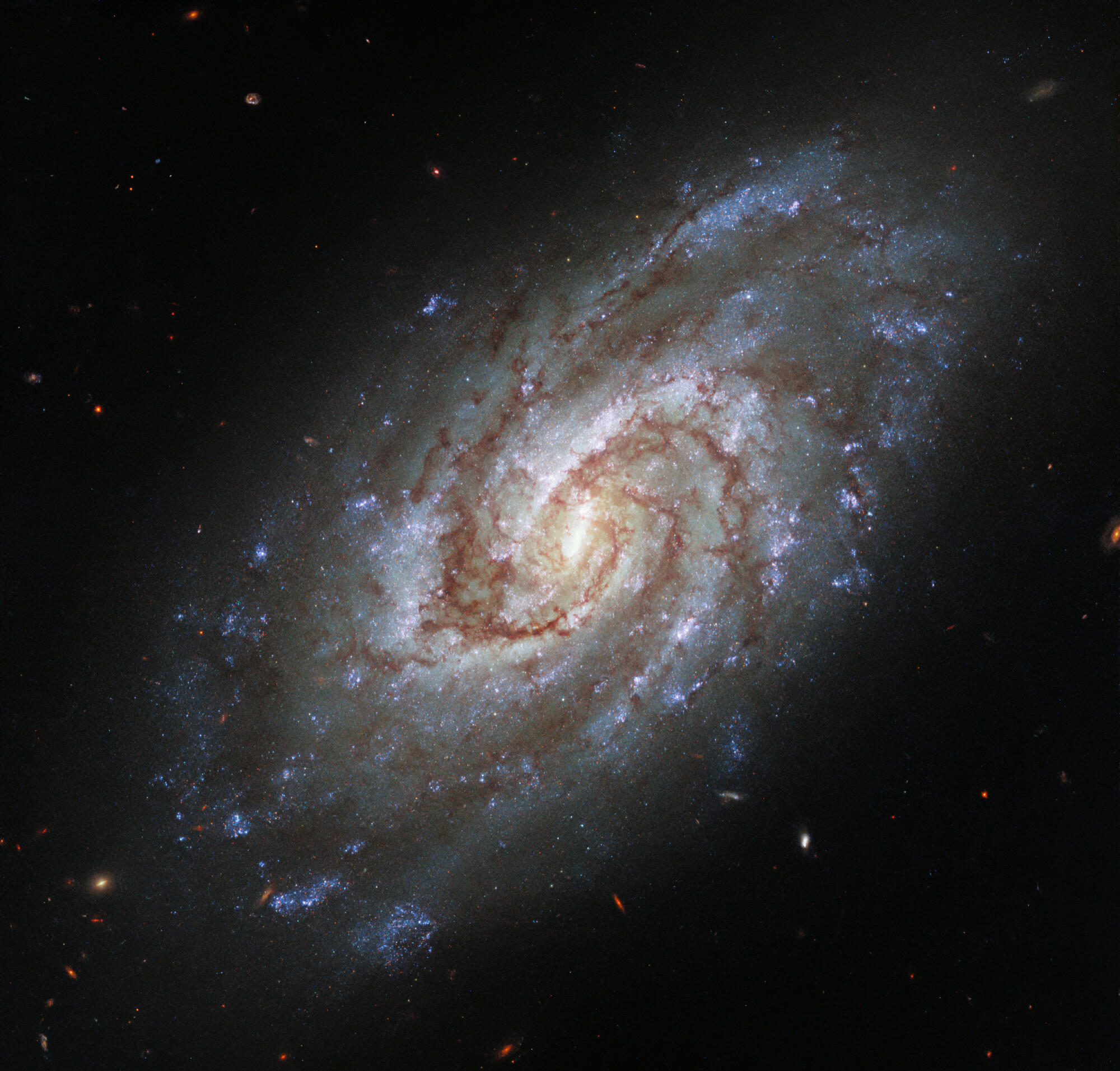 Spiral galaxy IC 1954 lies approximately 45 million light-years from Earth in the constellation Horologium (The Clock.