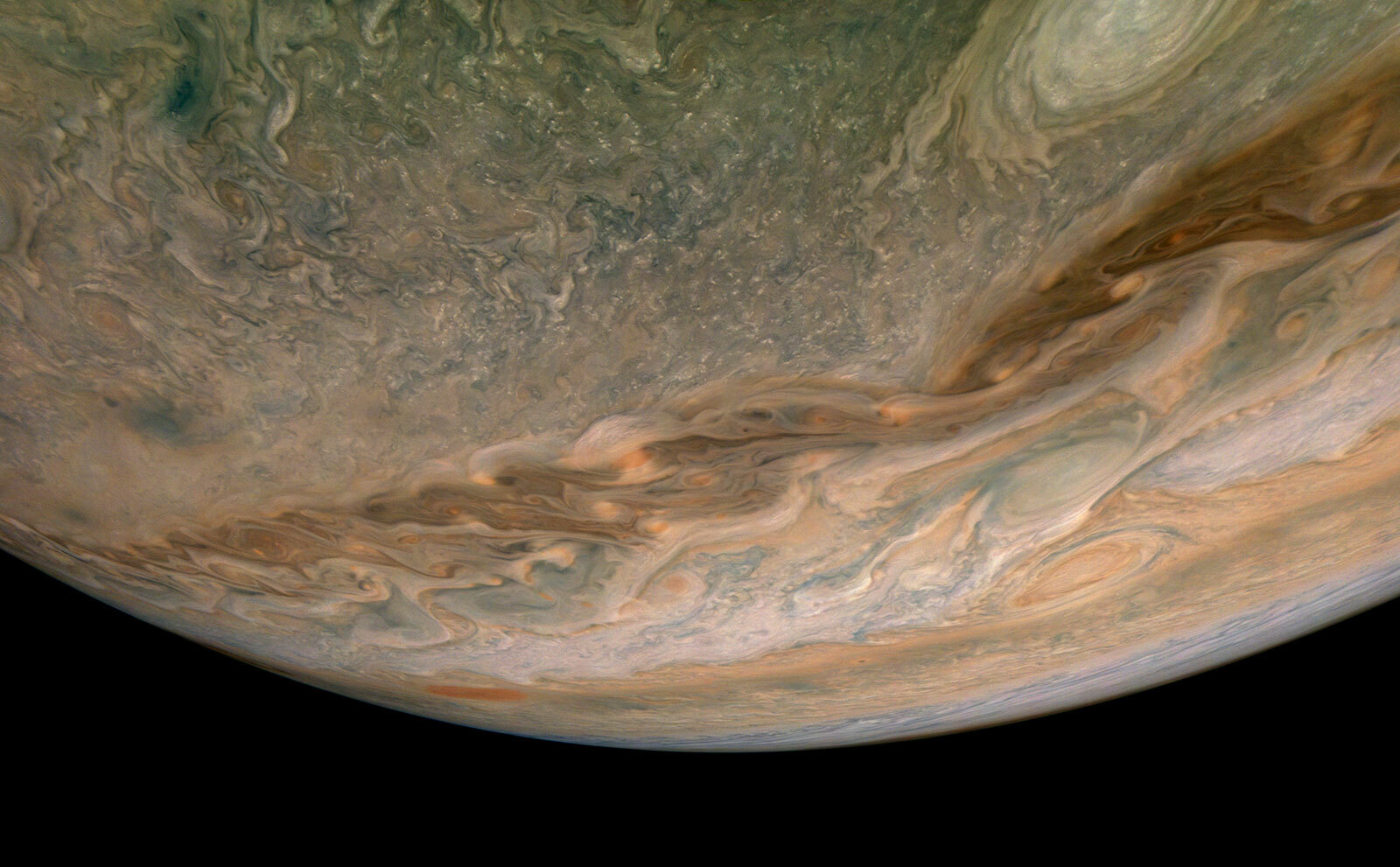 An image of Jupiter captured by the Juno space probe.