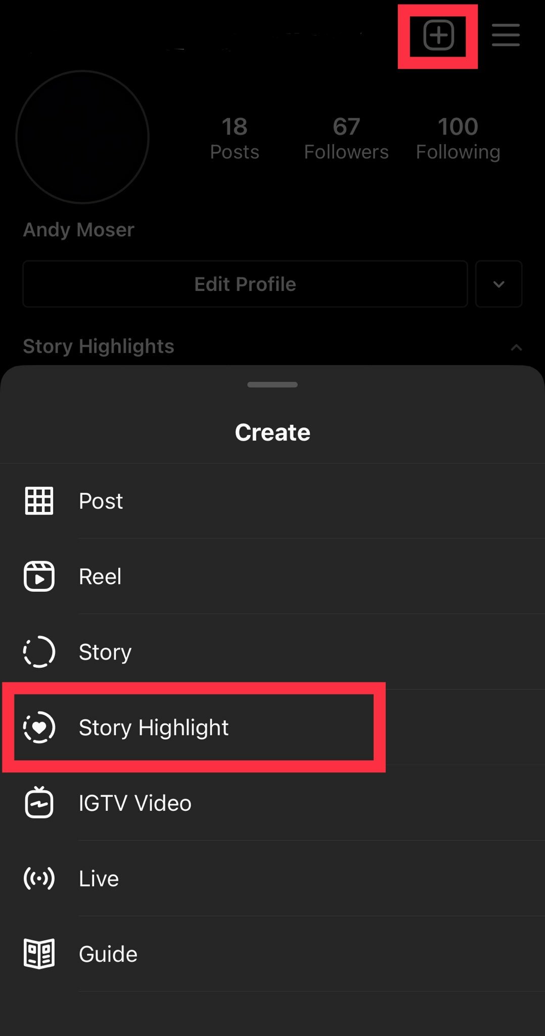 Tap the "+" symbol on the top right, then select "Story Highlight."