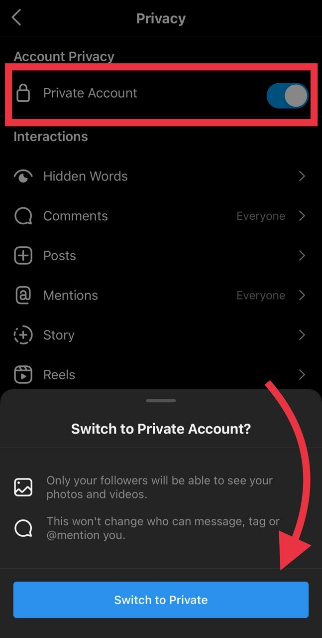 Toggle the "Private Account" switch at the top of your privacy settings, then tap "Switch to Private."