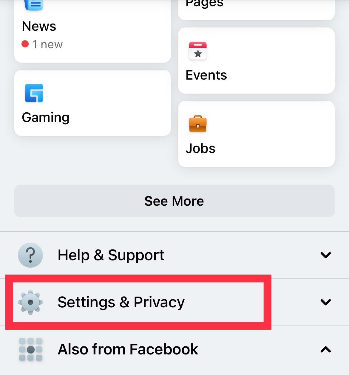 Find your "Settings & Privacy" using the menu icon in the bottom right corner