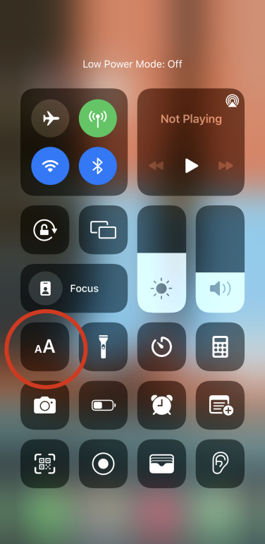 A screenshot of the iPhone control center, with a red circle around the button that changes the screen's text size.