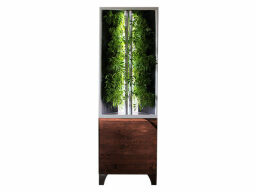 Wooden cabinet with green plant inside 