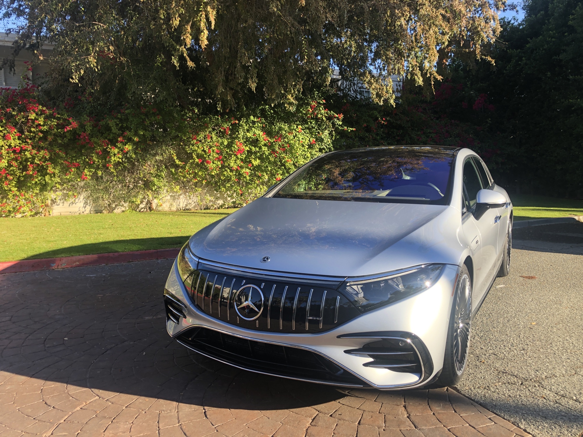 A Mercedes logo on a silver car with trees in the background.
