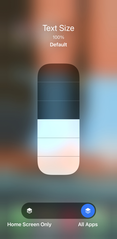 A screenshot of an iPhone screen, showing the screen's text size options.