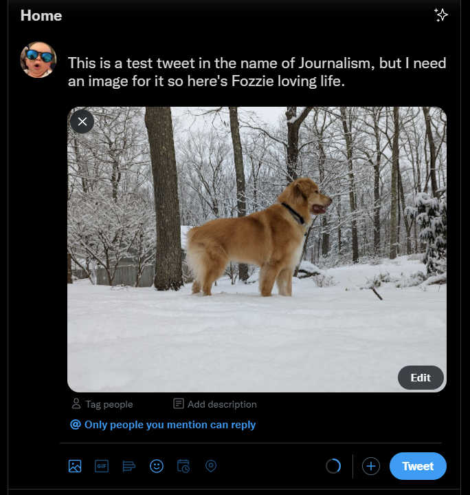 A screenshot of a post being created inside Twitter's browser interface. The text reads "This is a test tweet in the name of Journalism, but I need an image for it so here's Fozzie loving life." Below the text is a photo of a dog standing in the snow.