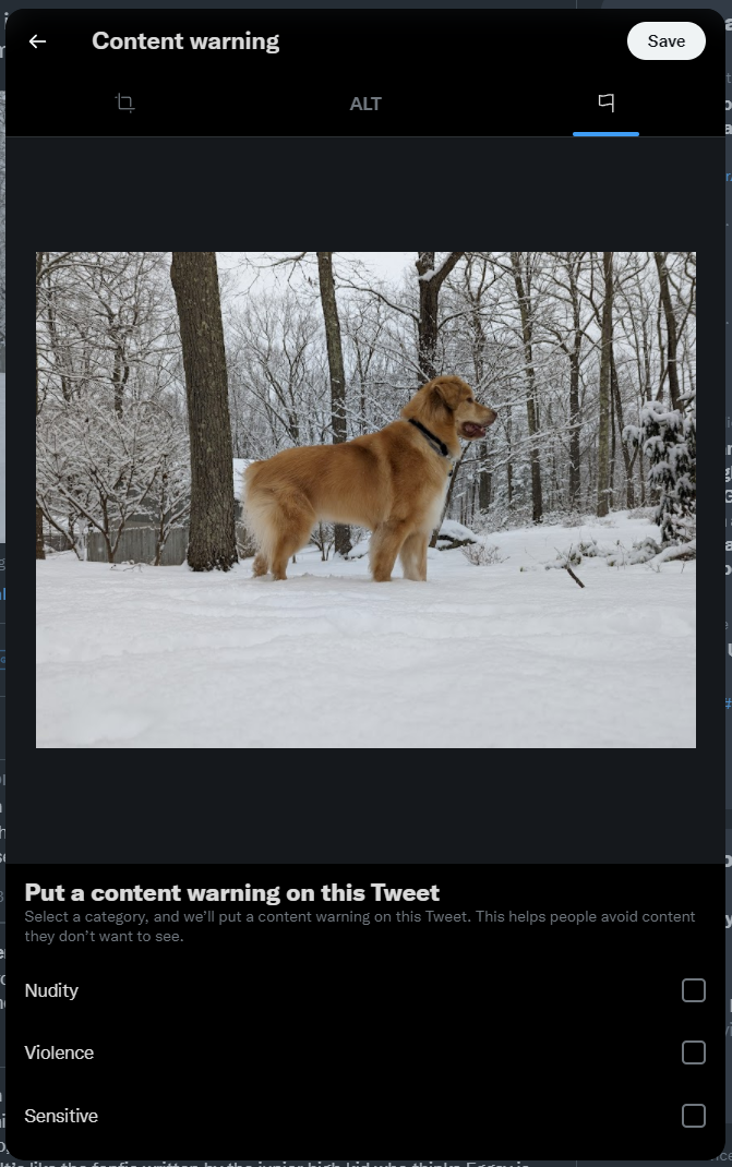 A screenshot of Twitter's content warning interface. An image of a dog standing in the snow fills the bulk of the screenshot. Below it is text that reads: "Put a content warning on this tweet. Select a category, and we'll put a content warning on this Tweet. This helps people avoid content they don't want to see." There are three checkbox options to choose from: Nudity, Violence, Sensitive.