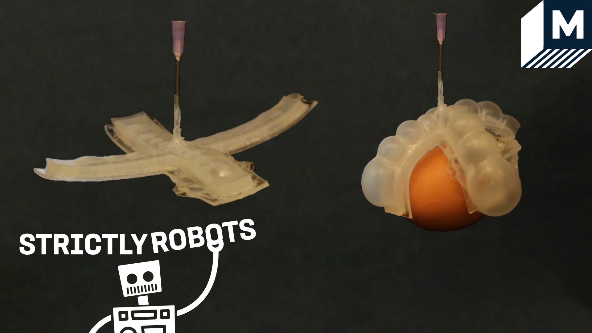 Stretchy thermometer holding egg