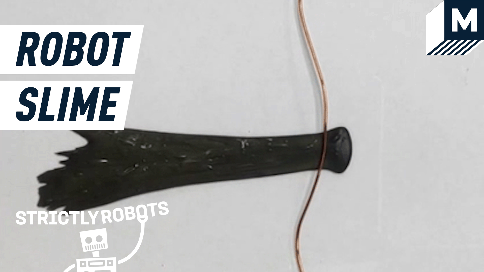 Slimy soft robot grabbing a wire