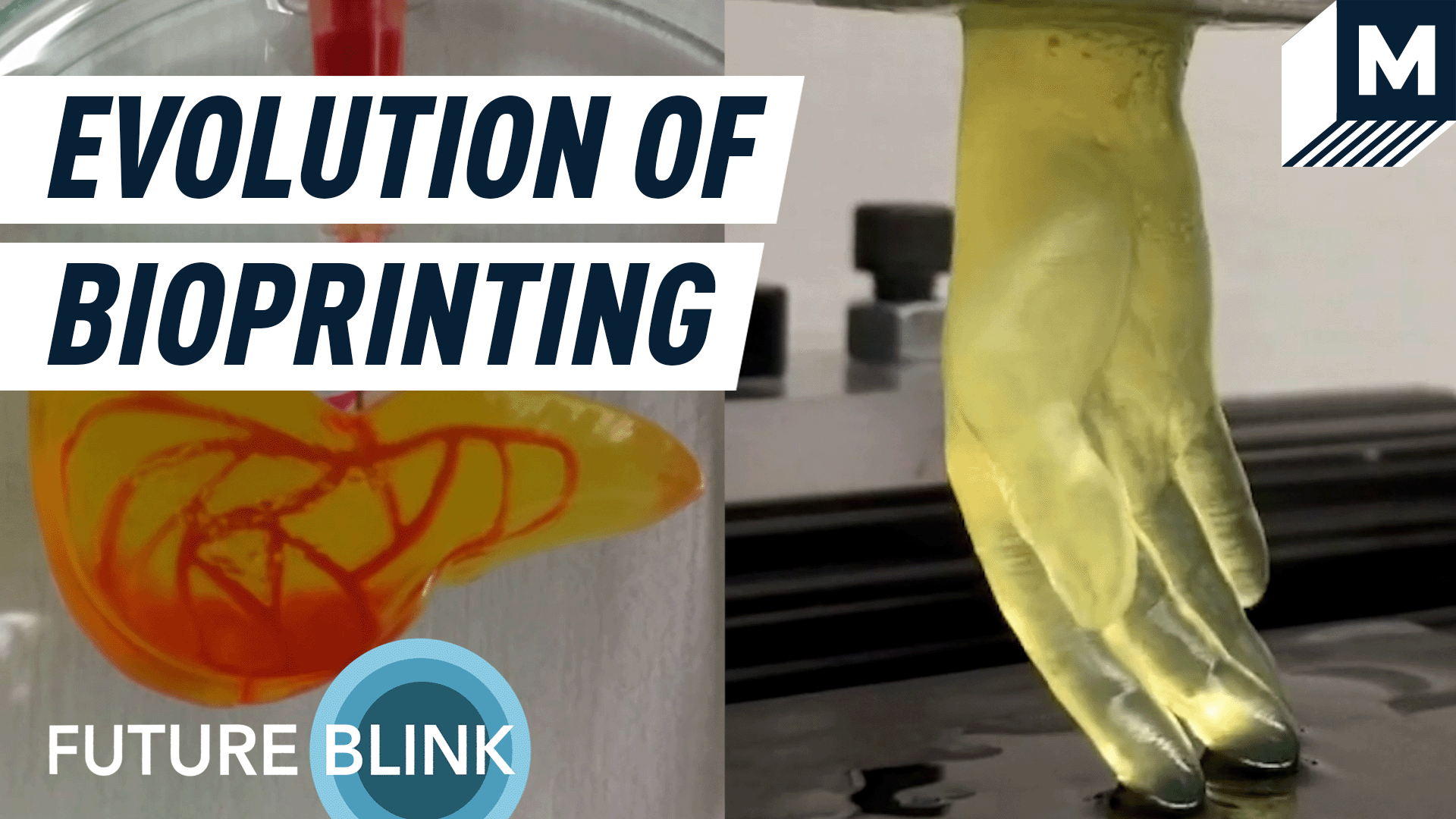 a small live and life sized hand created using bioprinters