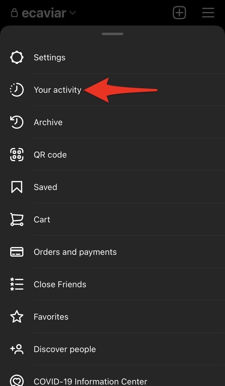 Red arrow pointing to "Your activity"