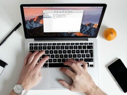 Hands on laptop with maccleanse window open