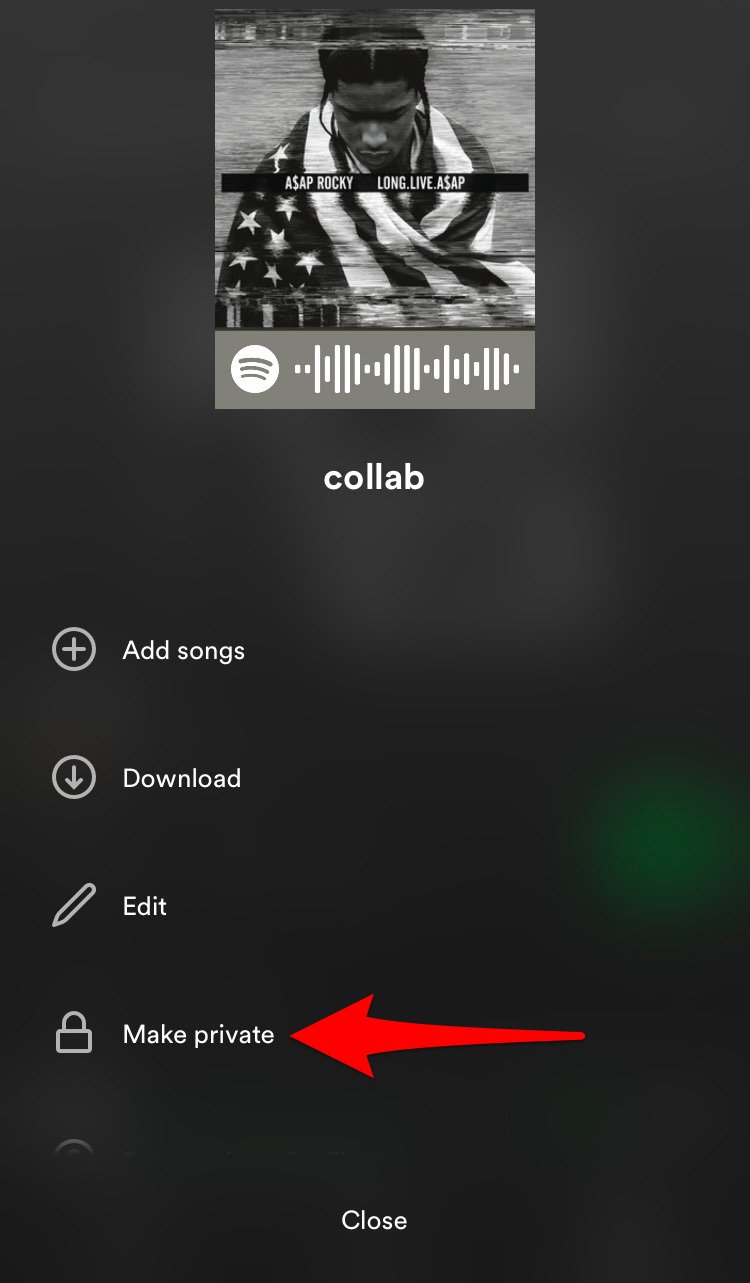A red arrow pointing to "Make Private."