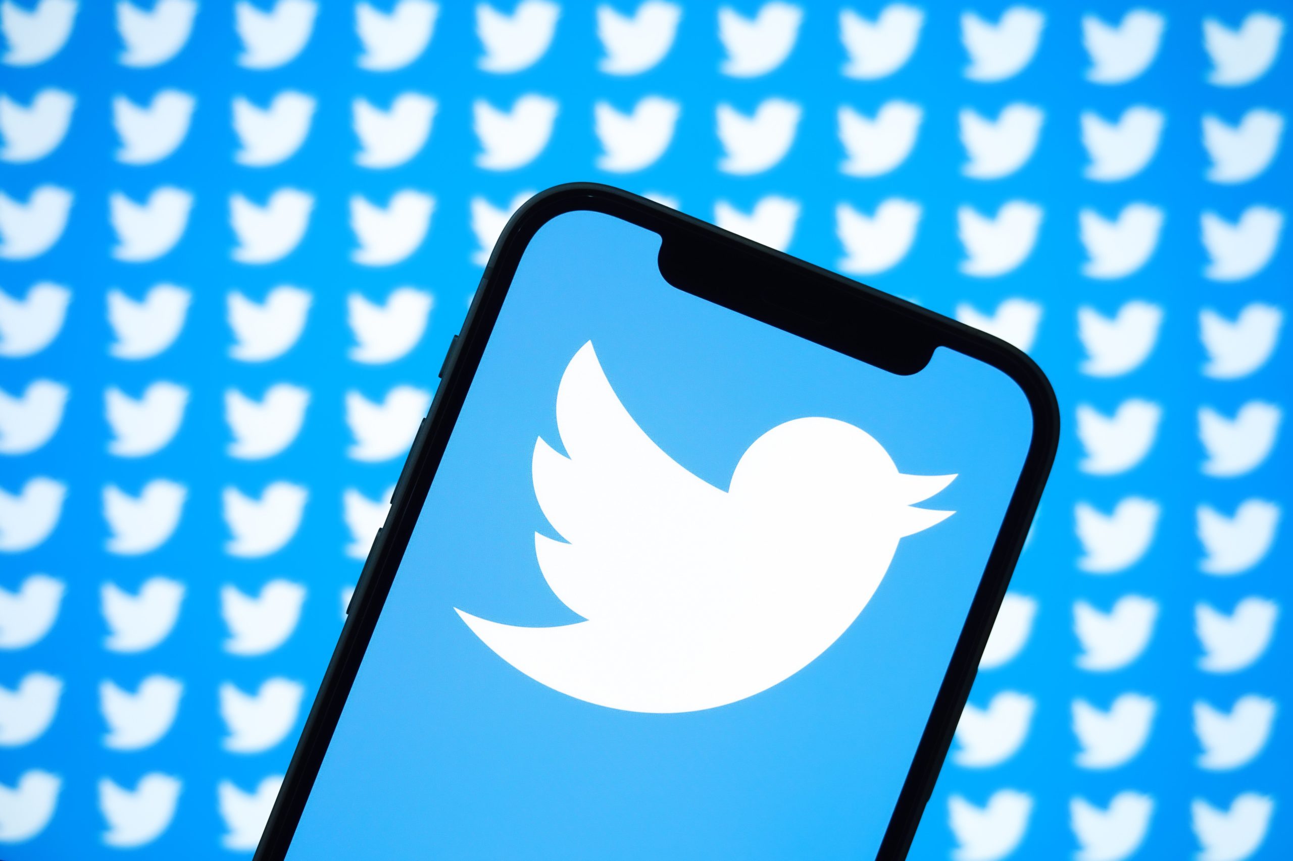 Twitter logo on smartphone