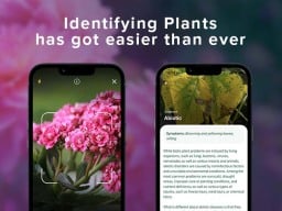 Two phones with picture of plant and information