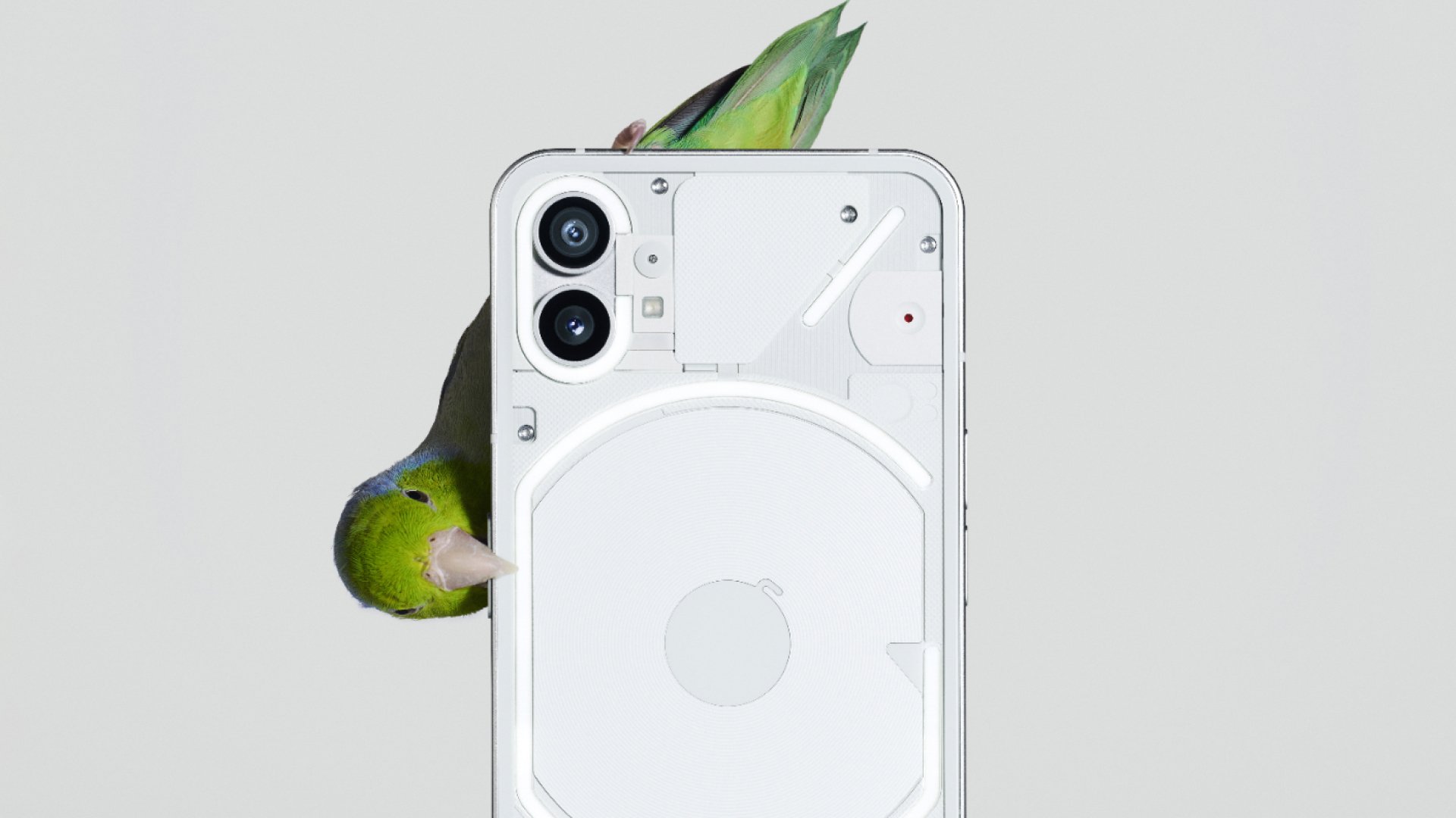 The Nothing 1 Phone on a white background. A parrot sits on top of the phone/