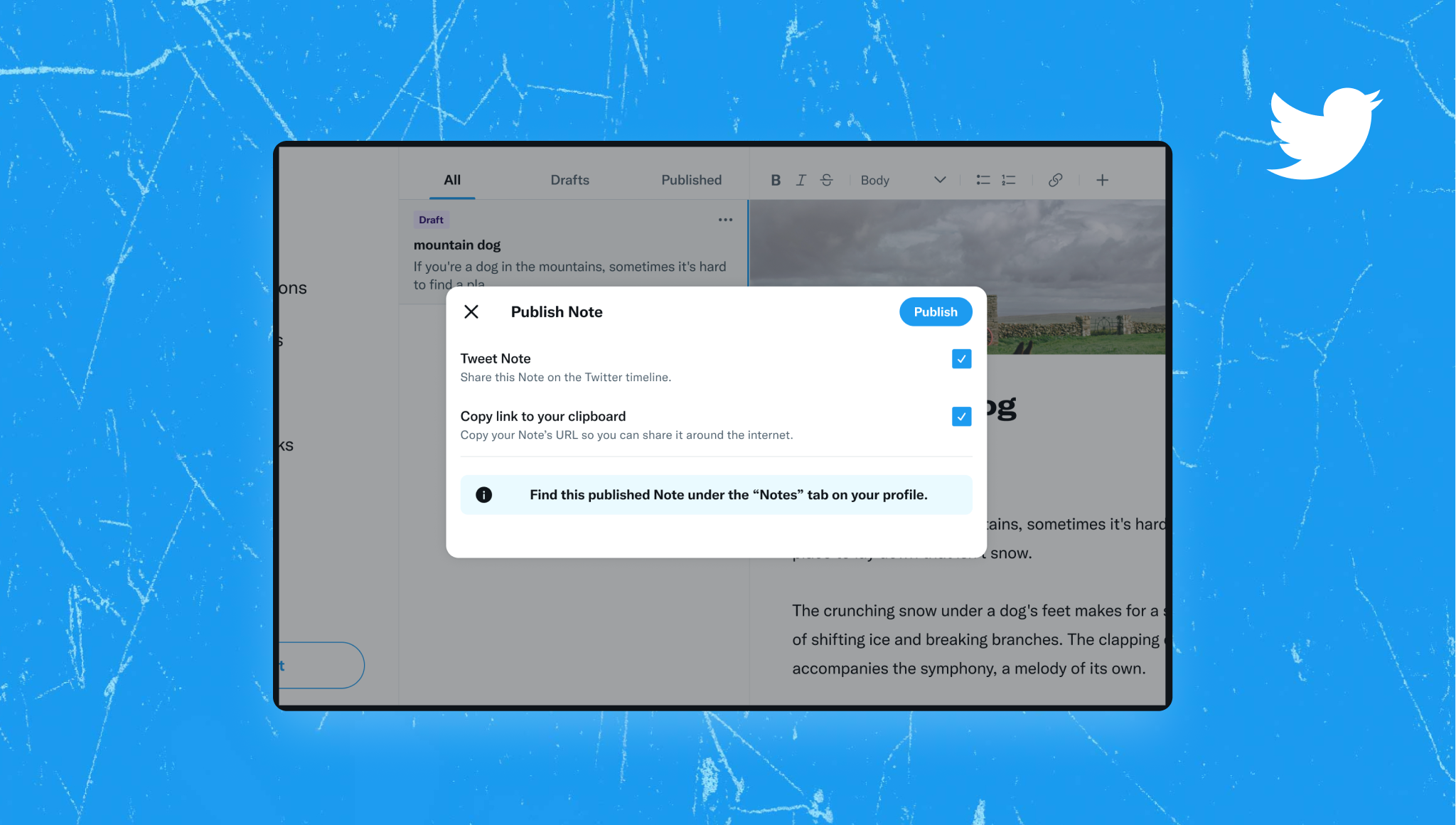 A screenshot of Twitter's new Notes feature.