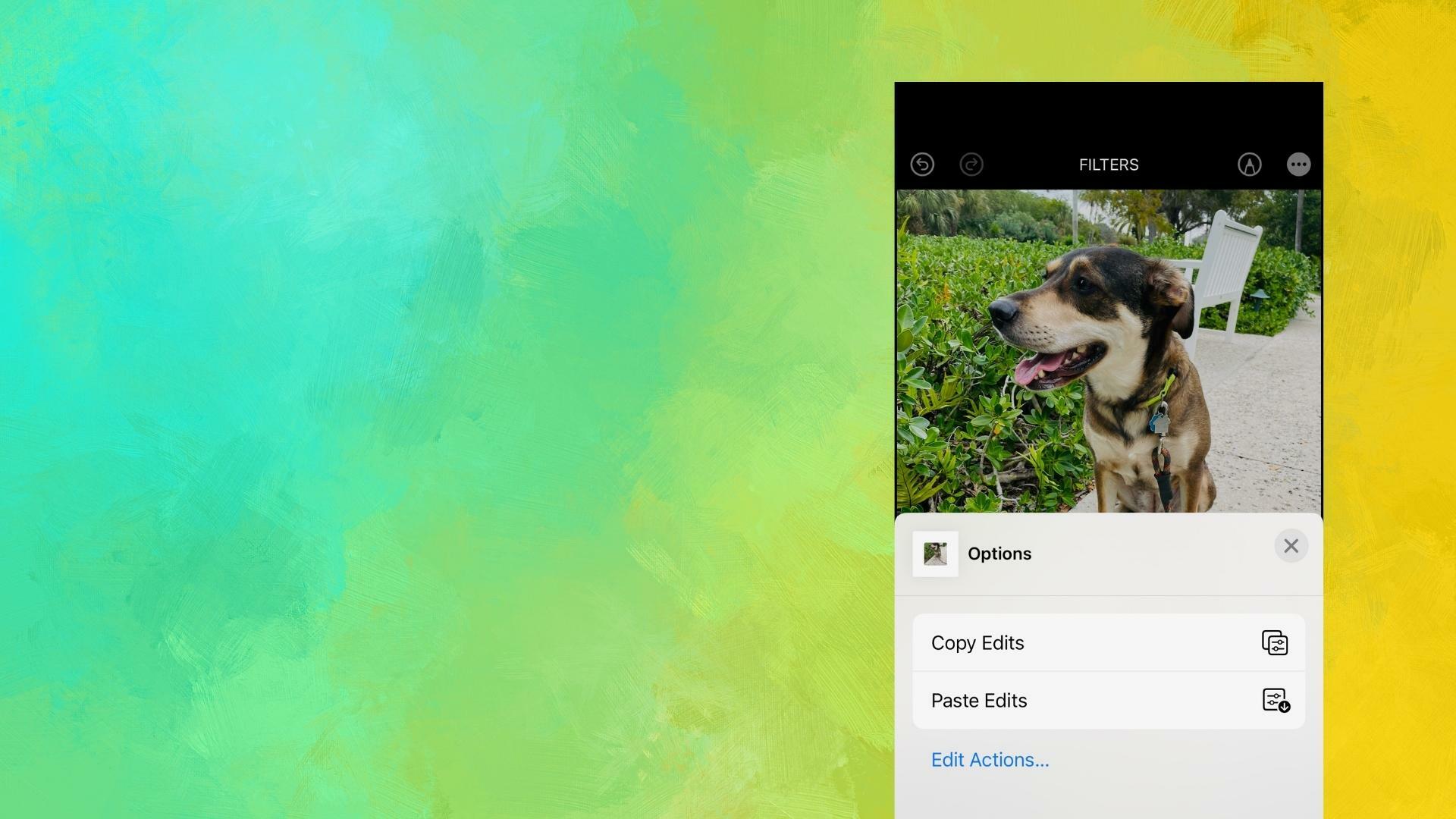 Composite image of copy/paste feature in iOS 16 against an abstract green background