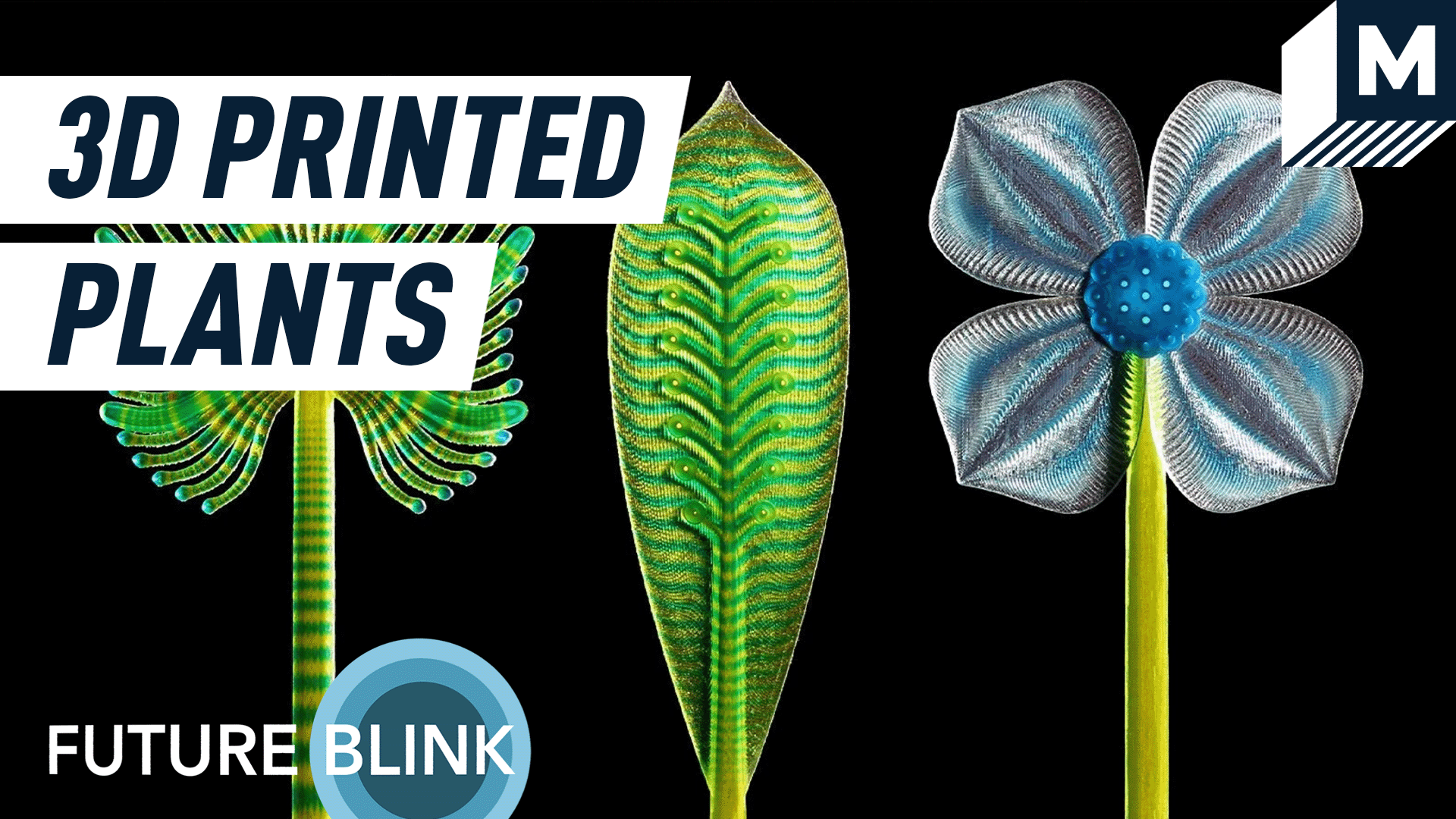 three 3d printed plants against a black backdrop