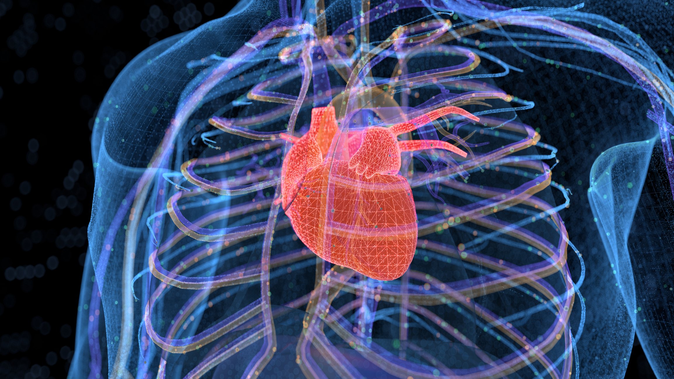 X-ray of a heart and chest