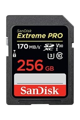 SanDisk memory card