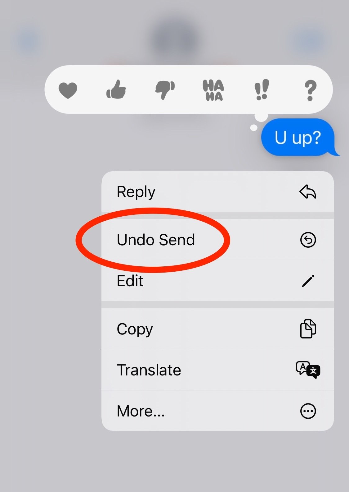 Screenshot of undo send feature after pressing and holding on the message