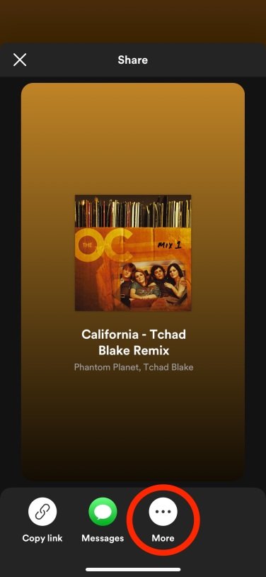 Screenshot of Spotify screen showing a song with sharing options at the bottom.