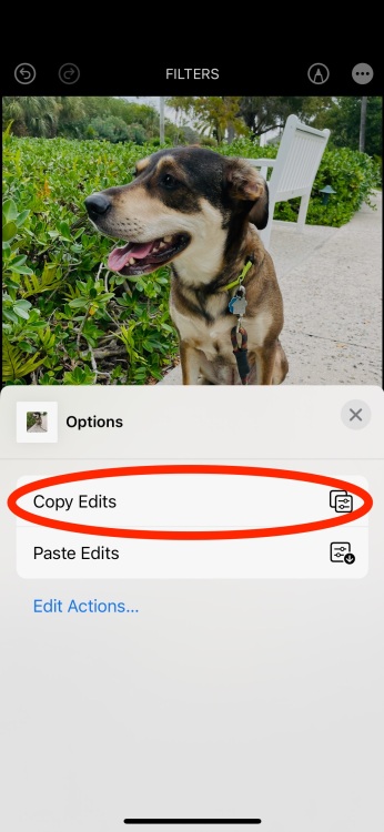 iPhone screenshot of Copy Edits feature in the Photos app