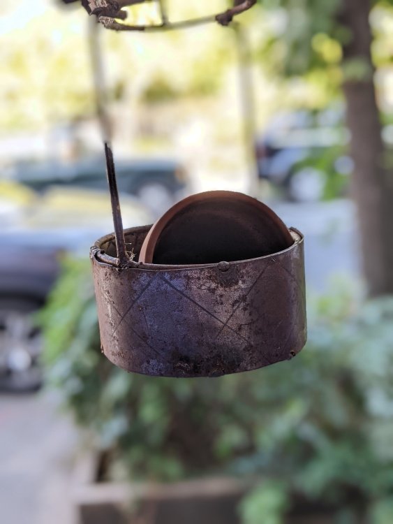 Planter at cafe