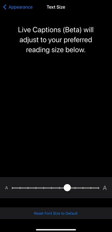 A screenshot of the text size settings, showing a much larger font size.
