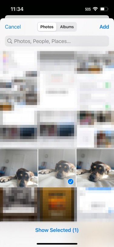 iPhone screenshot of choosing photos for the Shared Library