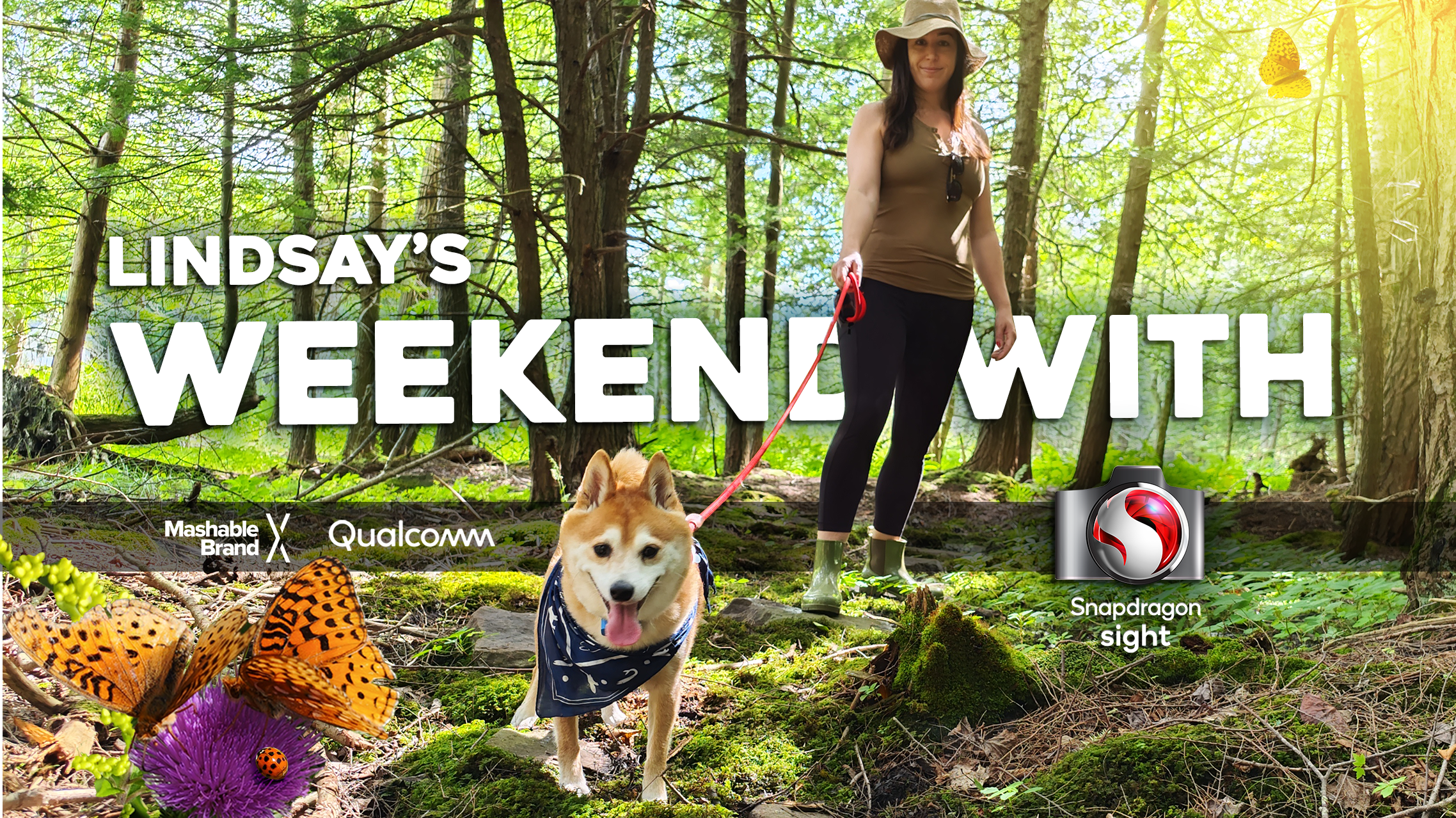 Woman walking Shiba Inu through wooded area. Text on screen: