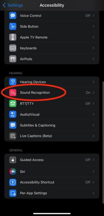 A screenshot of the accessibility menu, with a red circle around the phrase "sound recognition".