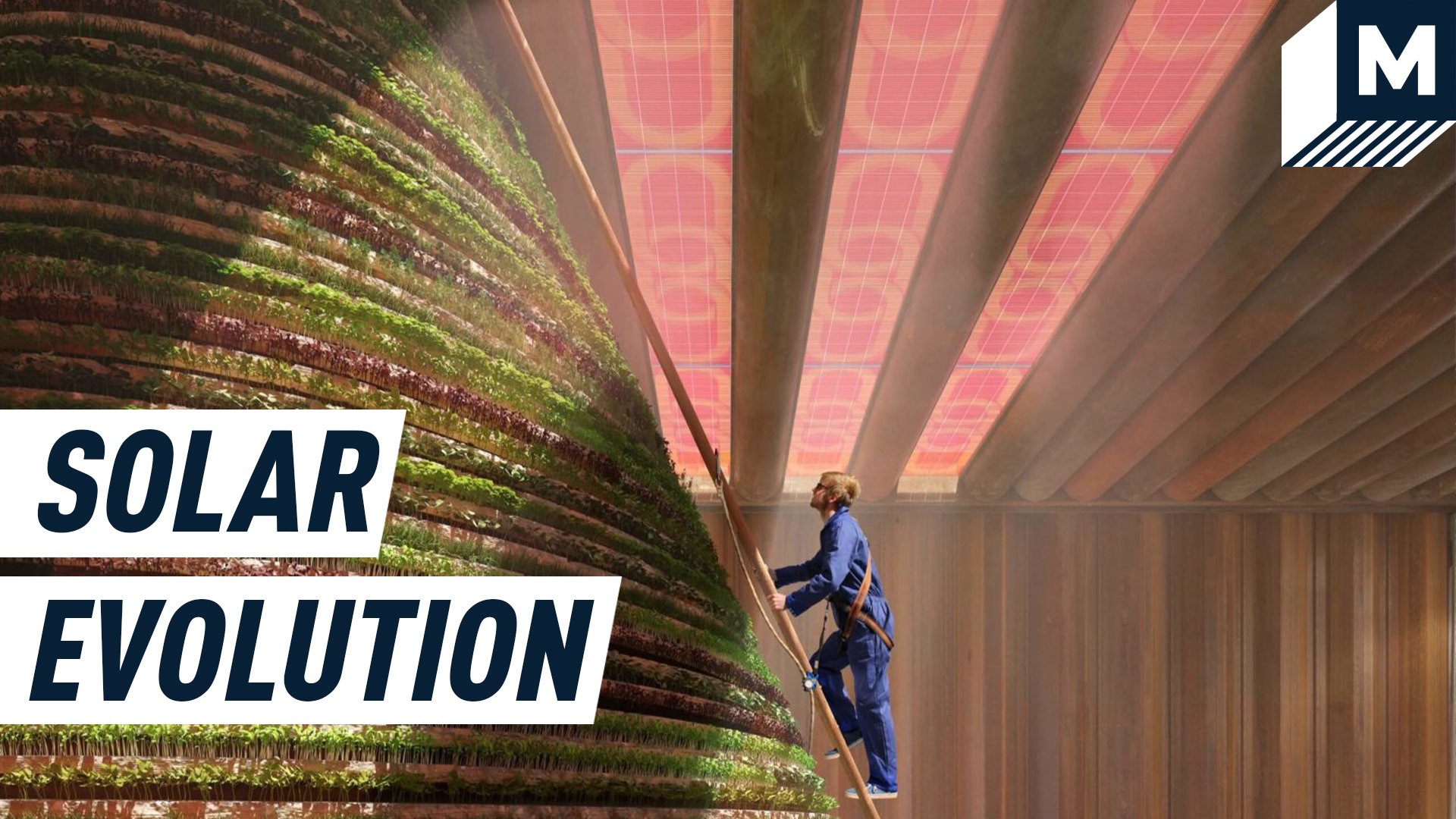 A man climbs a ladder to ascends a giant plant-made column in a room lit by soft pink light. The room's glass ceiling is covered with semi-transparent colourful solar panels which bathe the room in pink and yellow shades.