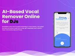 EasySplitter Pro Vocal Remover graphic.