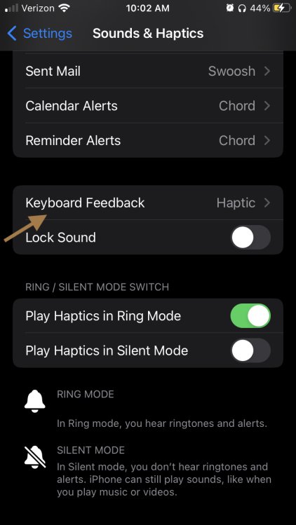 iPhone sound & haptics menu