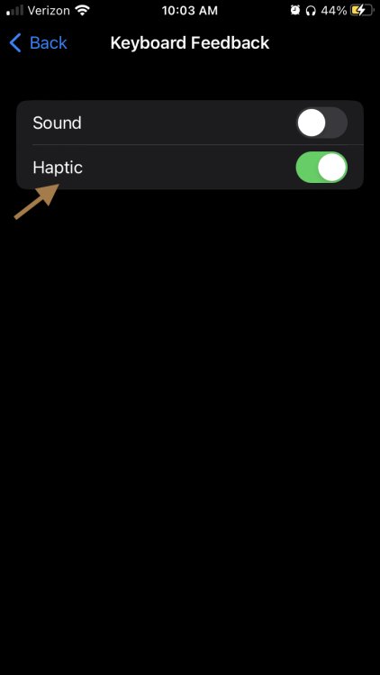 iPhone haptic keyboard toggle