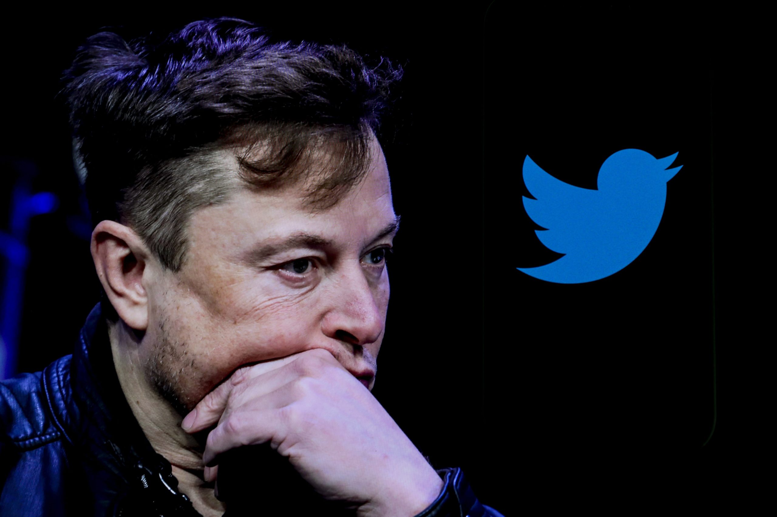 Elon Musk looking pensive next to a Twitter icon