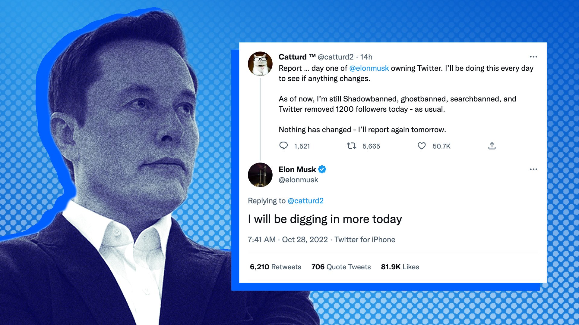 Elon Musk tweets to @catturd2 account on Twitter