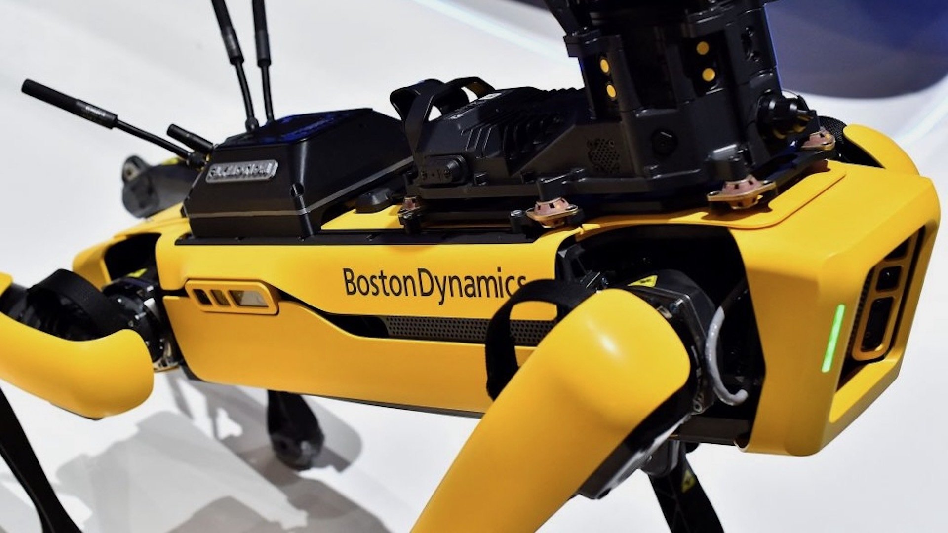 boston dynamics robot dog close up