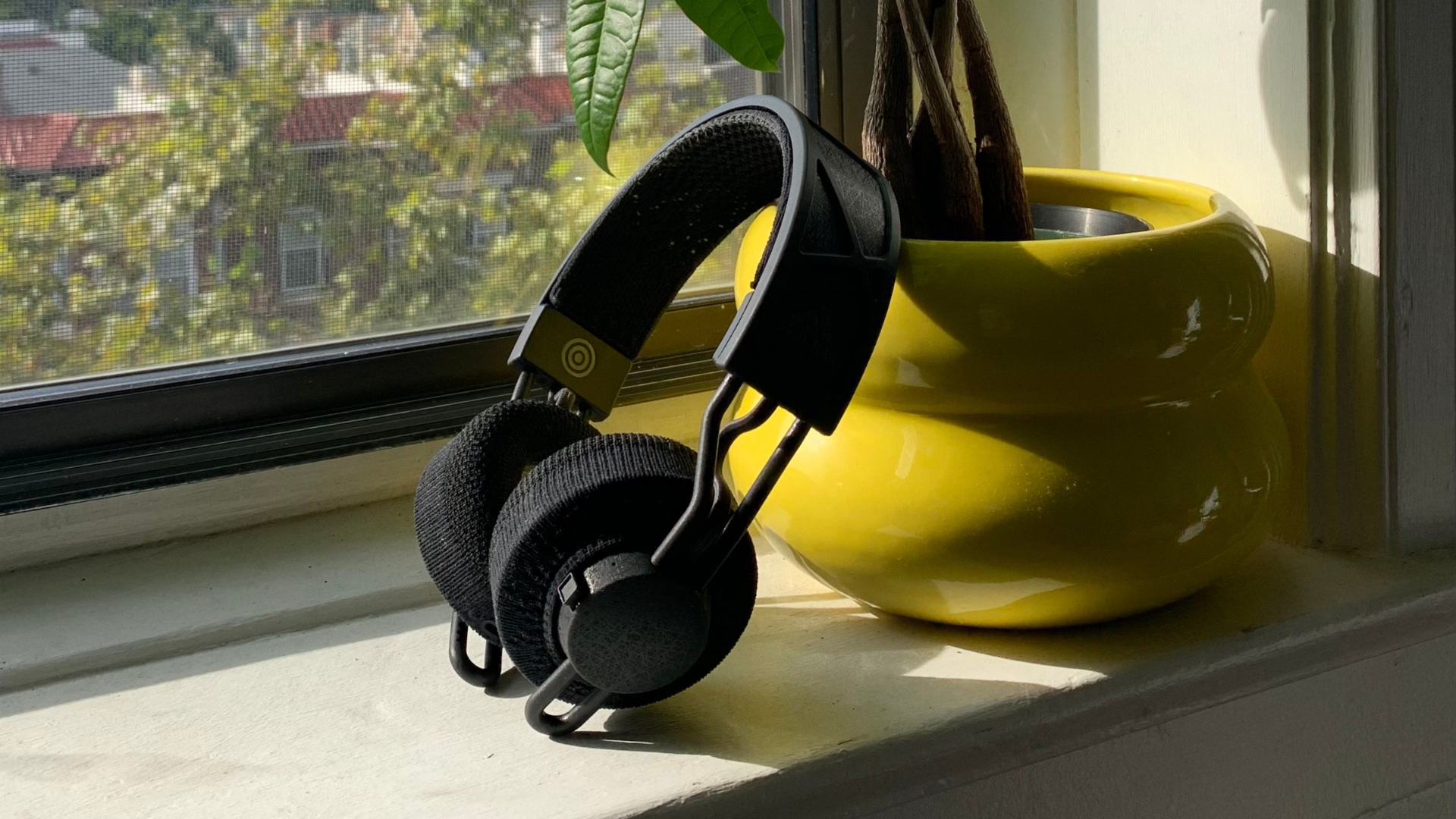 A pair of the Adidas RPT-02-SOLs rest on a white windowsill, propped up by a curvy, bright yellow pot with a money tree in it.
