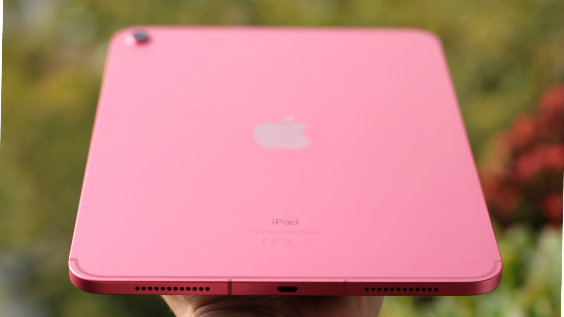 Apple iPad (pink)