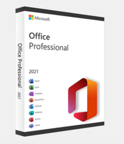 microsoft office professional lifetime license