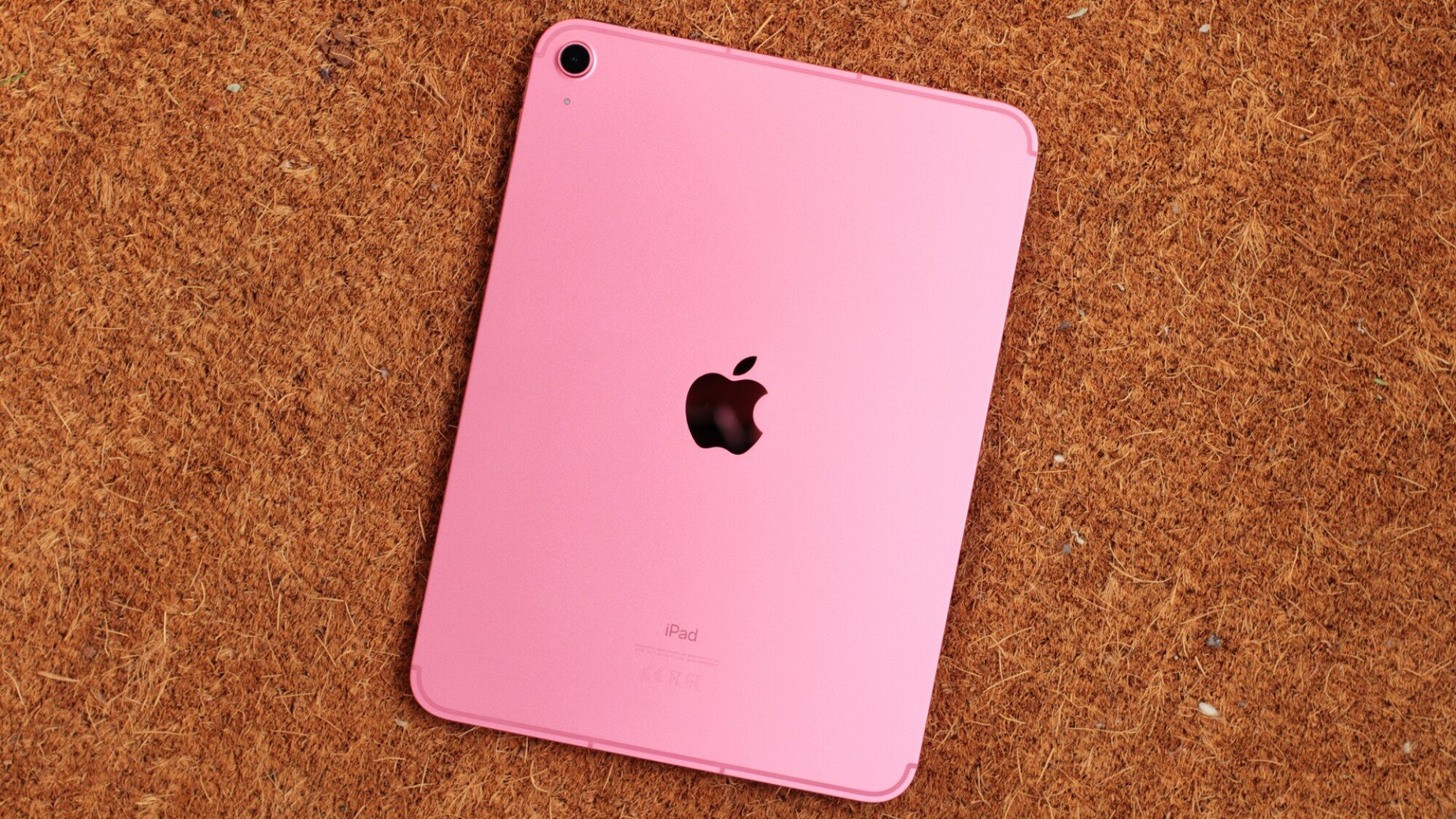 Apple iPad (pink)
