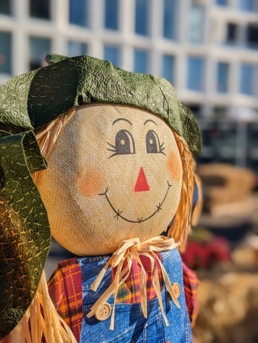 Scarecrow in portrait mode