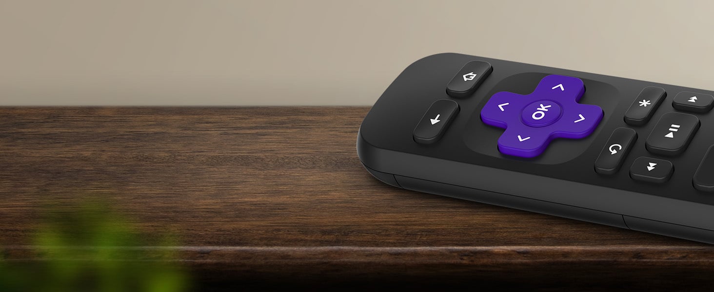 Roku Express