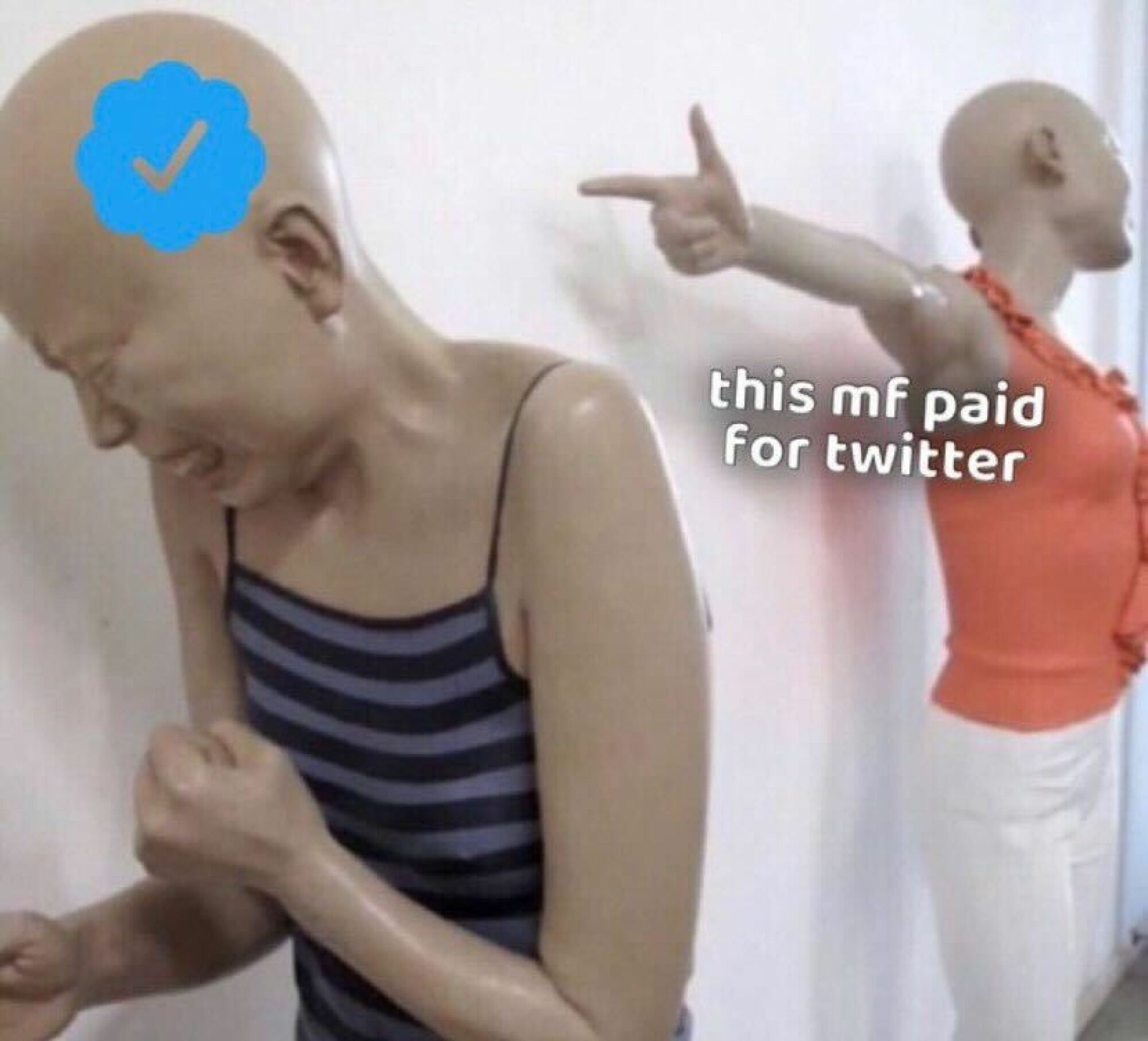 Paying for Twitter meme